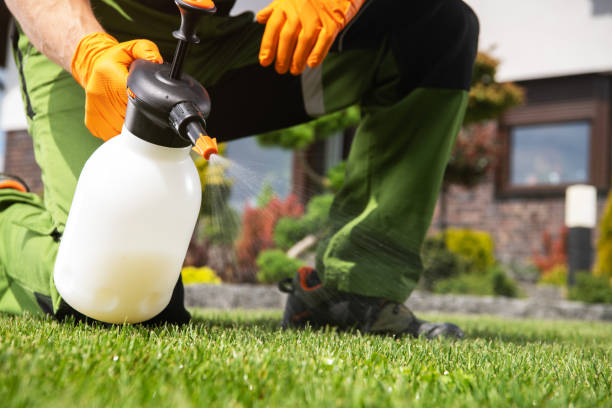 Best Flea Control Services  in Oberlin, KS