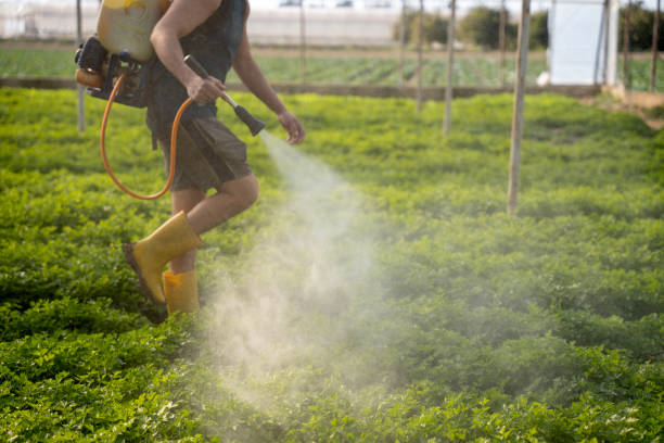 Reliable Oberlin, KS Pest Control Solutions