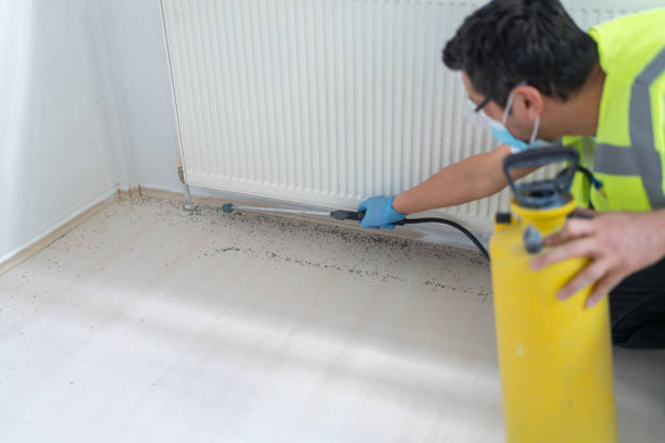 Best Cockroach Control Services  in Oberlin, KS