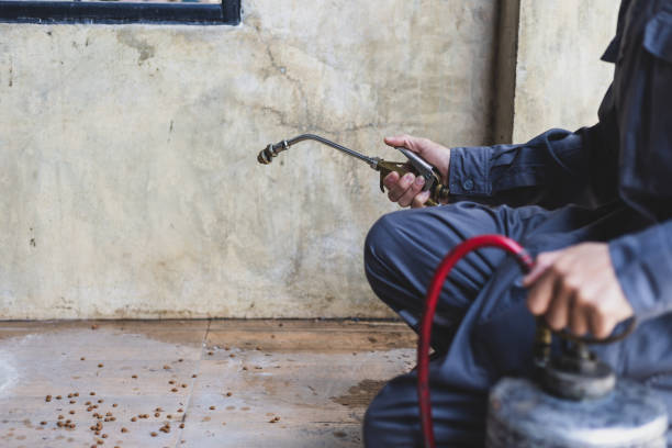 Best Pest Prevention Services  in Oberlin, KS